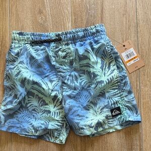 Quiksilver Kids Swim Trunks - Blue and Green